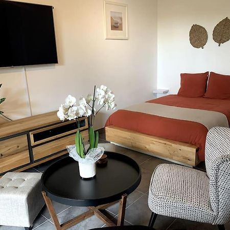 Grand Studio Avec Coin Nuit, Proche Mer Et Montagnes Roquebrune-sur Argens Zewnętrze zdjęcie