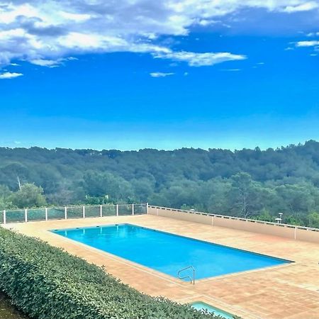Grand Studio Avec Coin Nuit, Proche Mer Et Montagnes Roquebrune-sur Argens Zewnętrze zdjęcie