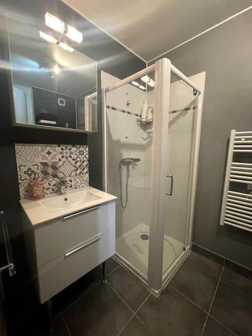 Grand Studio Avec Coin Nuit, Proche Mer Et Montagnes Roquebrune-sur Argens Zewnętrze zdjęcie